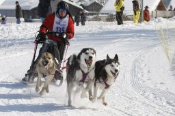 Lenk 2012 SM